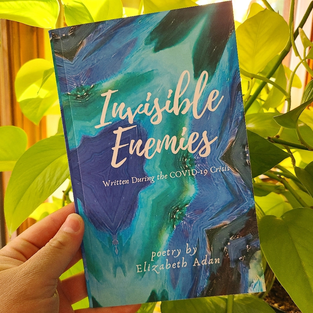 🆕️ Signed Poetry Book - Invisible Enemies